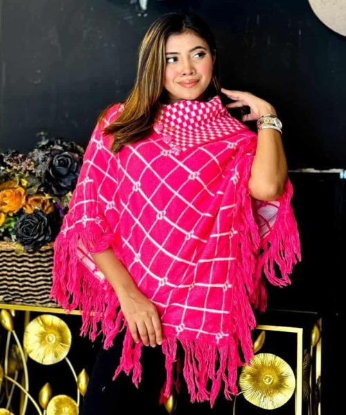 WhatsApp Image 2025-12-08 at 12.10.11 PM (2)